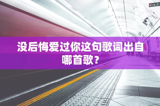 没后悔爱过你这句歌词出自哪首歌？