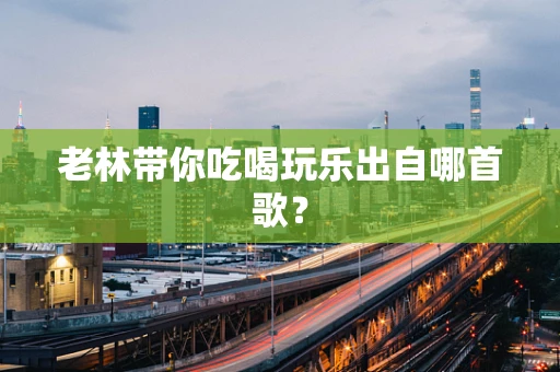 老林带你吃喝玩乐出自哪首歌？