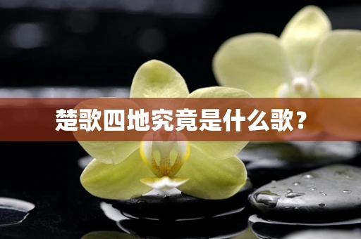 楚歌四地究竟是什么歌？