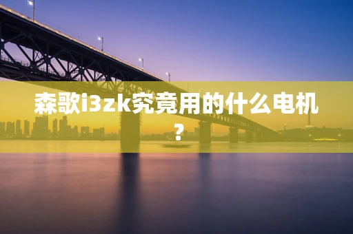 森歌i3zk究竟用的什么电机？