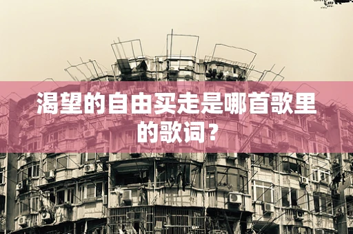 渴望的自由买走是哪首歌里的歌词？