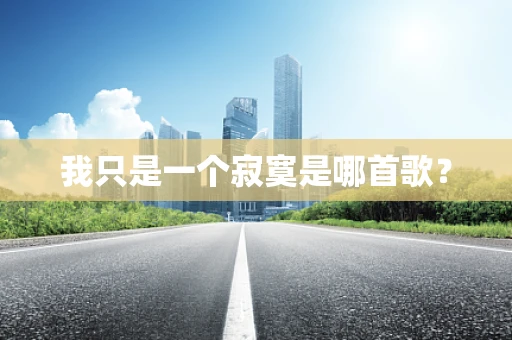 我只是一个寂寞是哪首歌？