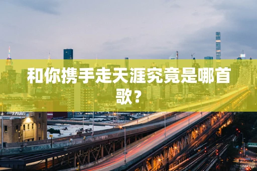 和你携手走天涯究竟是哪首歌？