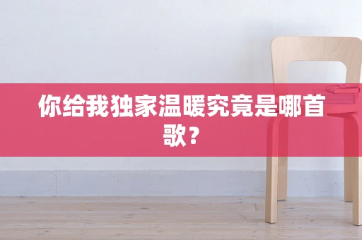 你给我独家温暖究竟是哪首歌？