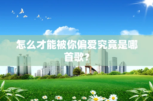 怎么才能被你偏爱究竟是哪首歌？