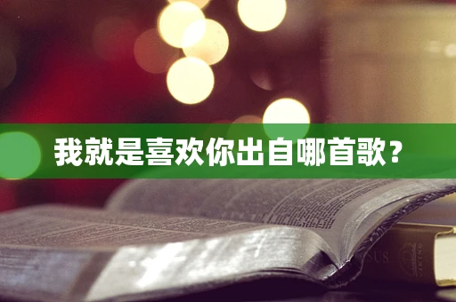 我就是喜欢你出自哪首歌？
