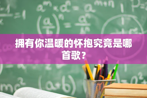 拥有你温暖的怀抱究竟是哪首歌？