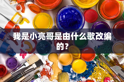 我是小亮哥是由什么歌改编的？