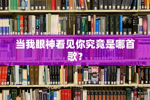 当我眼神看见你究竟是哪首歌？