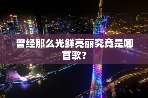 曾经那么光鲜亮丽究竟是哪首歌？