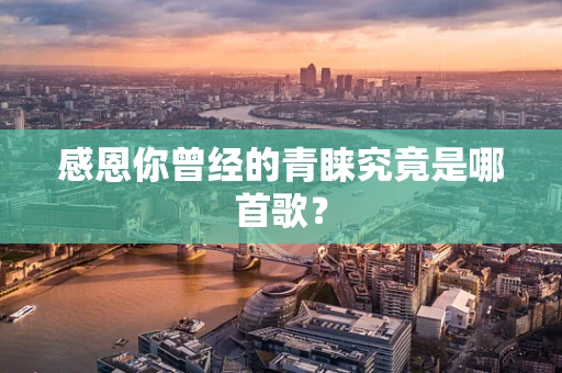 感恩你曾经的青睐究竟是哪首歌？