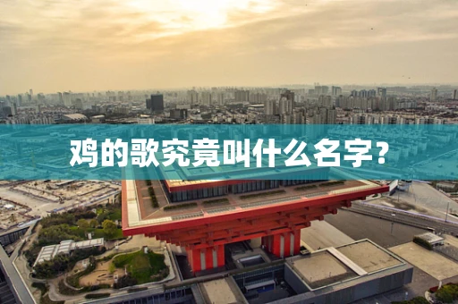 鸡的歌究竟叫什么名字？