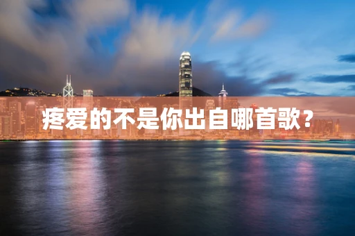 疼爱的不是你出自哪首歌？