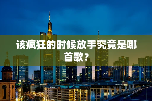 该疯狂的时候放手究竟是哪首歌？