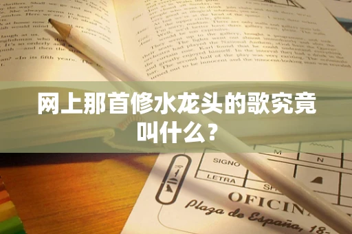 网上那首修水龙头的歌究竟叫什么？