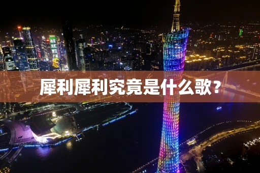 犀利犀利究竟是什么歌？