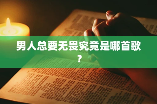 男人总要无畏究竟是哪首歌？