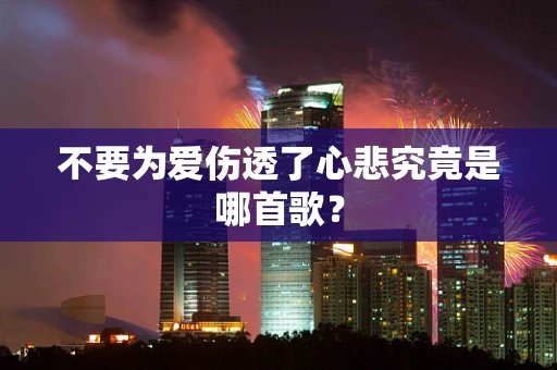 不要为爱伤透了心悲究竟是哪首歌？