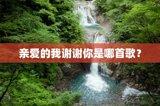 亲爱的我谢谢你是哪首歌？