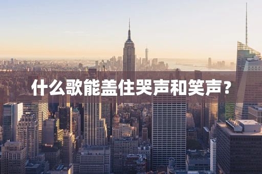 什么歌能盖住哭声和笑声？