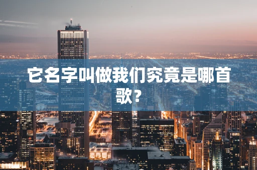 它名字叫做我们究竟是哪首歌？
