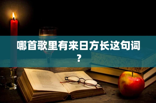 哪首歌里有来日方长这句词？