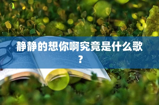 静静的想你啊究竟是什么歌？
