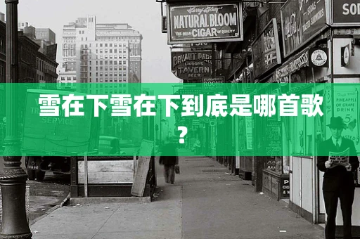 雪在下雪在下到底是哪首歌？