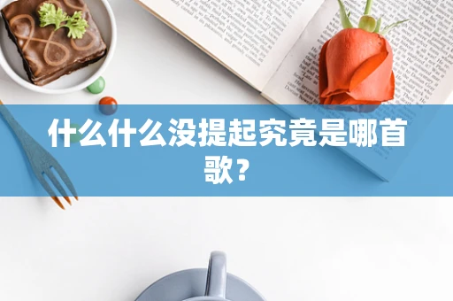 什么什么没提起究竟是哪首歌？