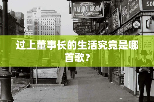 过上董事长的生活究竟是哪首歌？