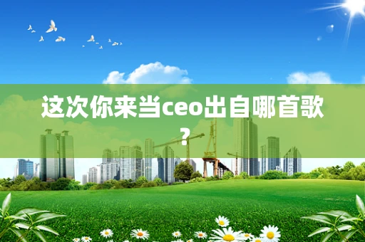 这次你来当ceo出自哪首歌？