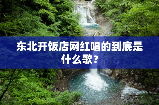 东北开饭店网红唱的到底是什么歌？
