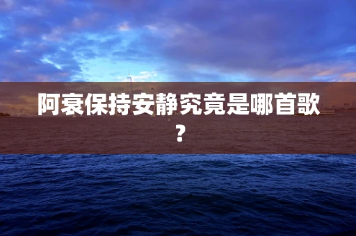阿衰保持安静究竟是哪首歌？