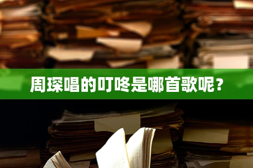 周琛唱的叮咚是哪首歌呢？