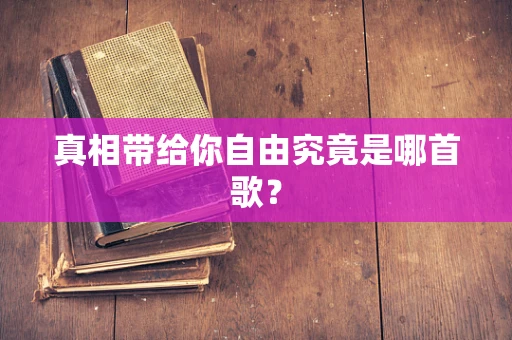 真相带给你自由究竟是哪首歌？