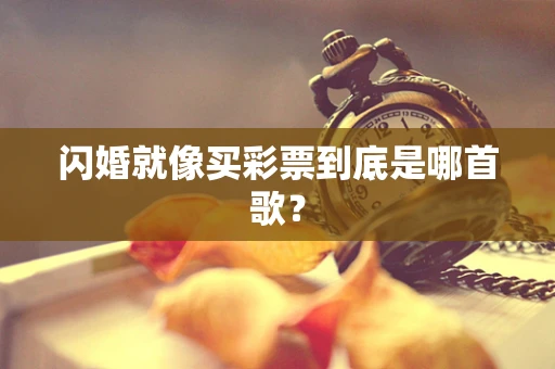 闪婚就像买彩票到底是哪首歌？