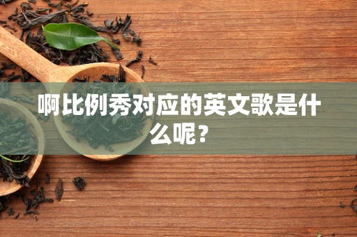 啊比例秀对应的英文歌是什么呢？