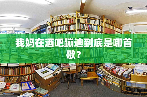 我妈在酒吧蹦迪到底是哪首歌？