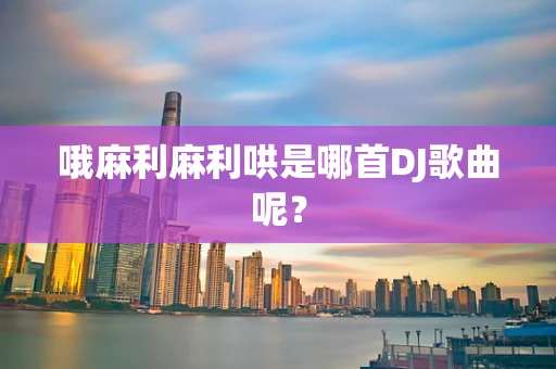 哦麻利麻利哄是哪首DJ歌曲呢？