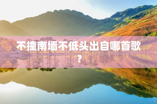 不撞南墙不低头出自哪首歌？