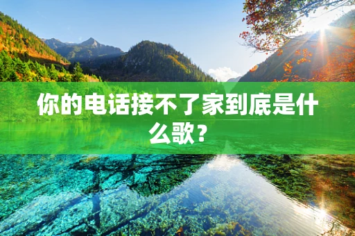 你的电话接不了家到底是什么歌？