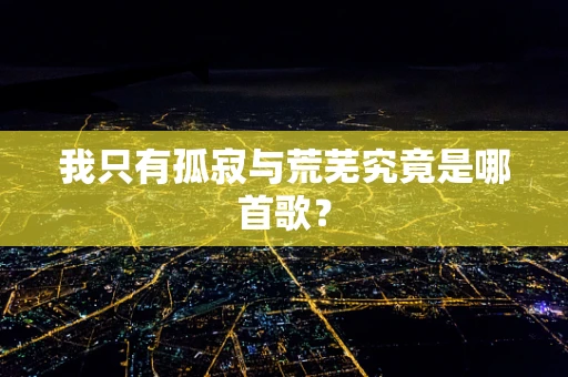 我只有孤寂与荒芜究竟是哪首歌？