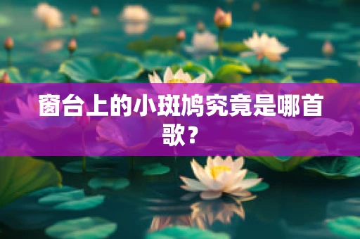 窗台上的小斑鸠究竟是哪首歌？