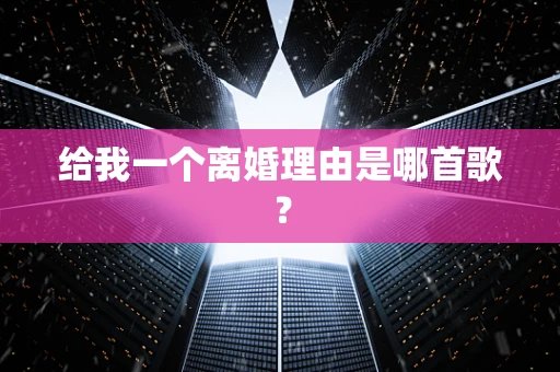 给我一个离婚理由是哪首歌？