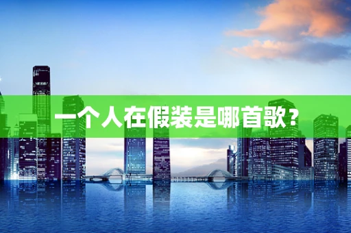一个人在假装是哪首歌？