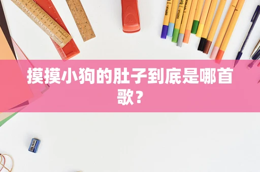 摸摸小狗的肚子到底是哪首歌？