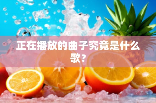 正在播放的曲子究竟是什么歌？
