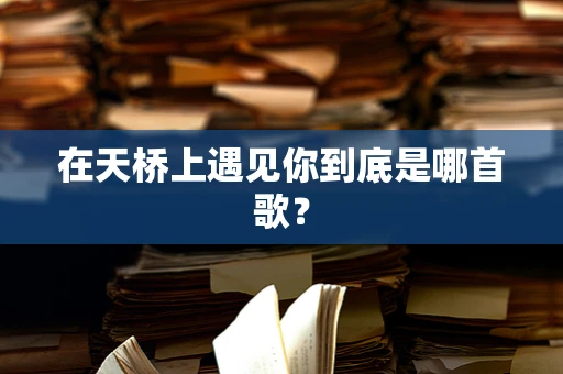 在天桥上遇见你到底是哪首歌？