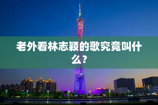 老外看林志颖的歌究竟叫什么？