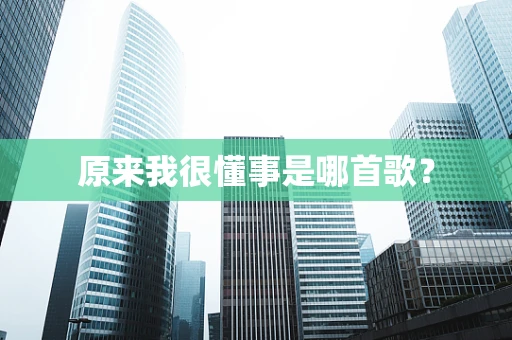 原来我很懂事是哪首歌？